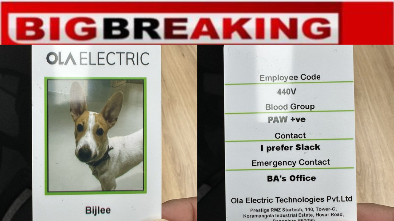 Ola Electric made dog employee