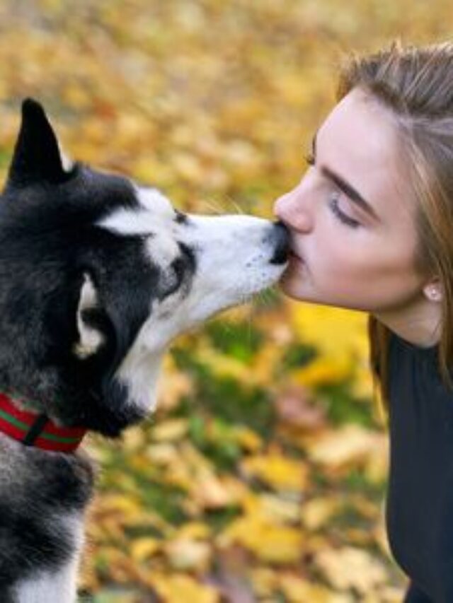 10 Dog Breeds that Kiss the Most