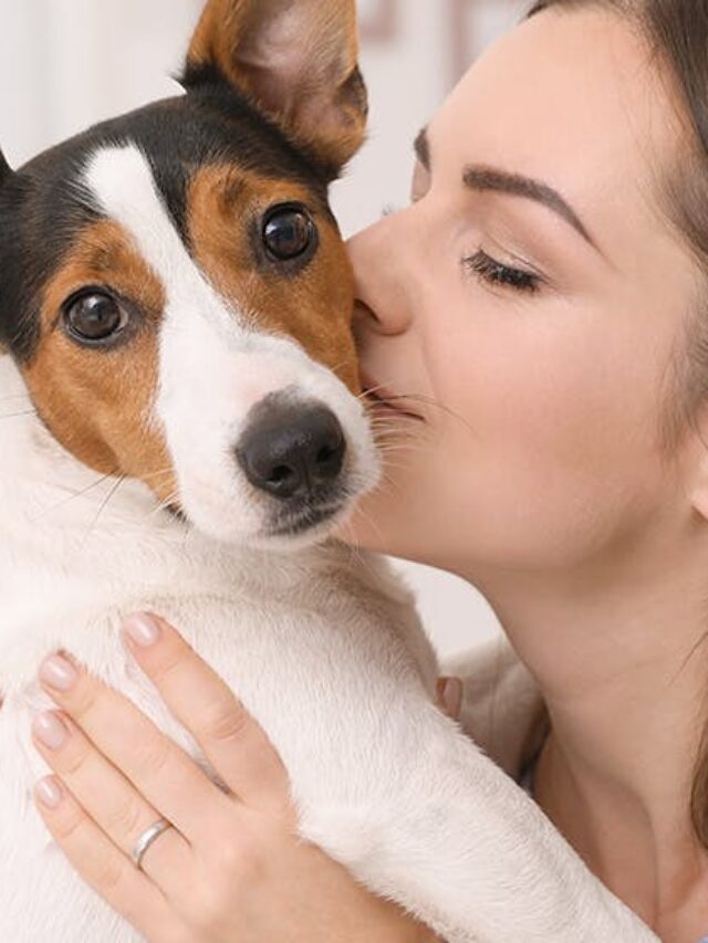 Do Dogs Like To Be Kissed? 10 Facts